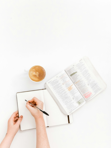 How to Create Website Forms for Free (And Why Every Business Needs Them)